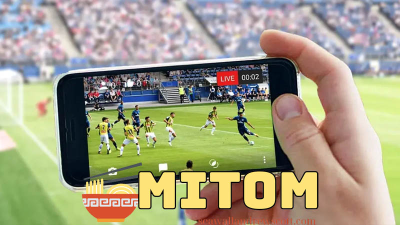 Mitom TV: Thiên đường đa dạng giải đấu cho người yêu bóng đá